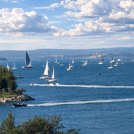 Greif & Trieste